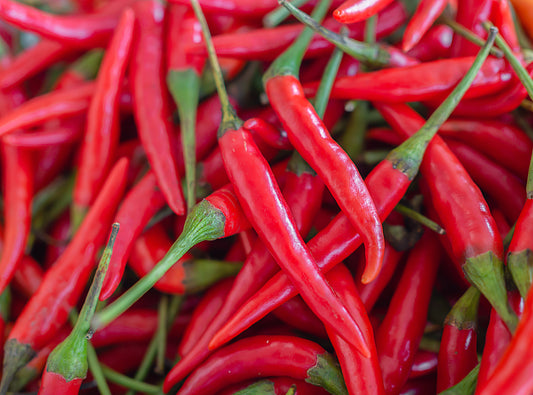 300 LONG Red CAYENNE PEPPER Capsicum Annuum Vegetable Seeds