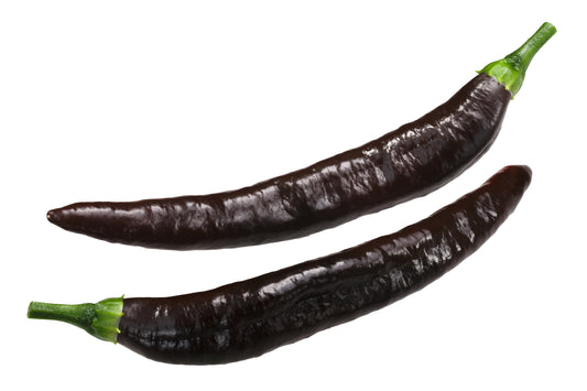 50 PASILLA BAJIO PEPPER Mexican Chilaca Chile Negro Capsicum Annuum Vegetable Seeds