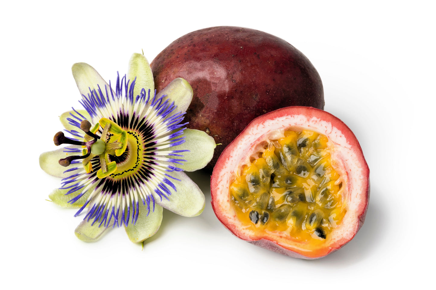 flower fruit seed 20 PURPLE PASSION FRUIT Passionflower Granadilla Passiflora Edulis Flo – Seedville USA