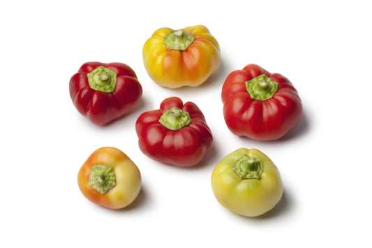 25 ALMA PAPRIKA PEPPER White Orange Red Hungarian Cherry Capsicum Annuum Seeds