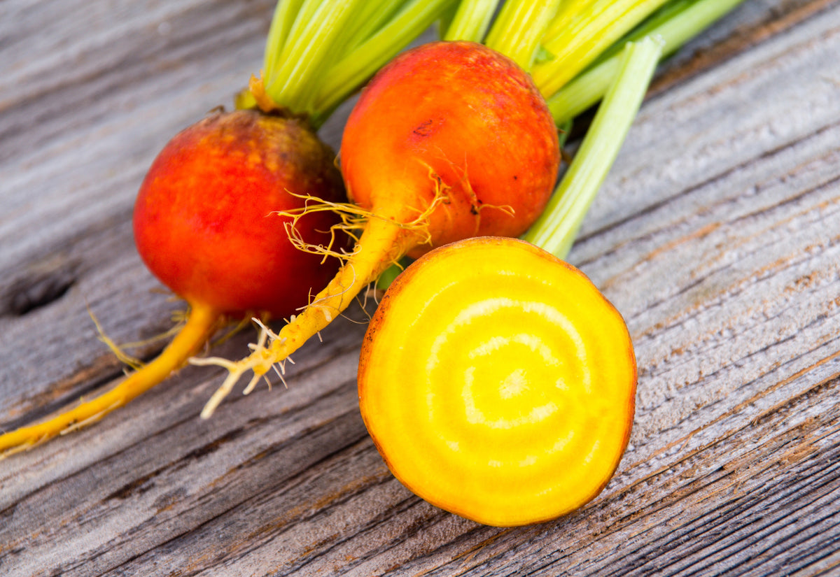 30 BURPEE'S GOLDEN BEET Beta Vulgaris Yellow Root Vegetable Seeds