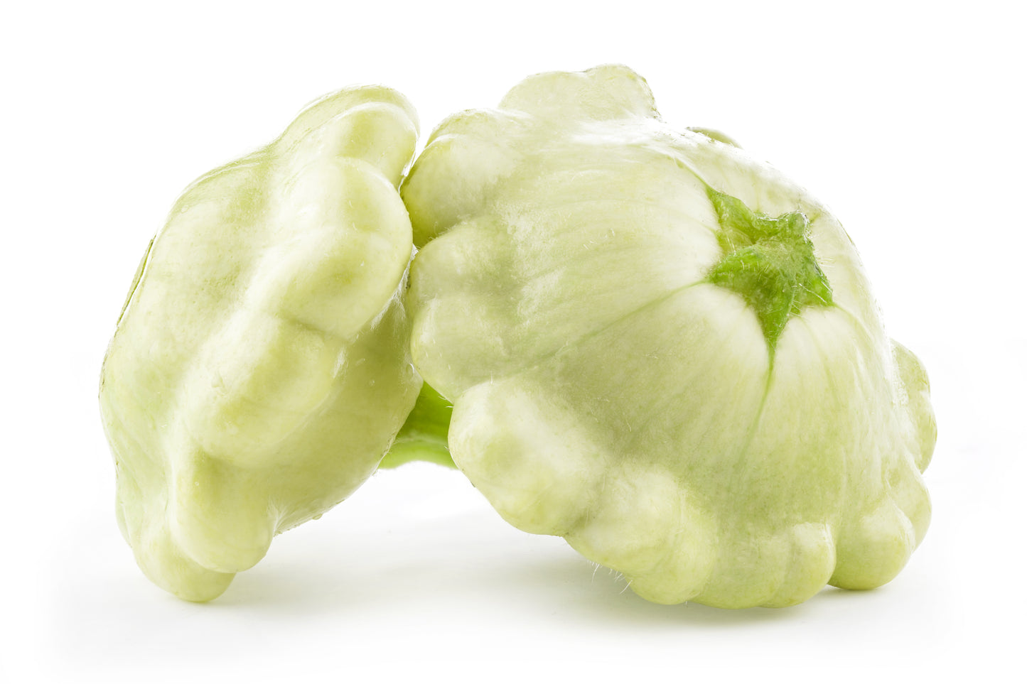 50 WHITE Bush SCALLOP SQUASH (Patty Pan / Paty Pan / Squanter Squash) Summer Cucurbita Pepo Vegetable Seeds