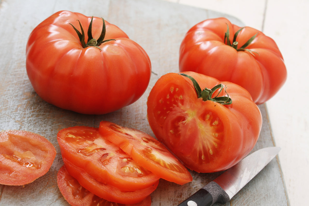 500 BEEFSTEAK TOMATO Lycopersicon Lycopersicum Fruit Vegetable Seeds