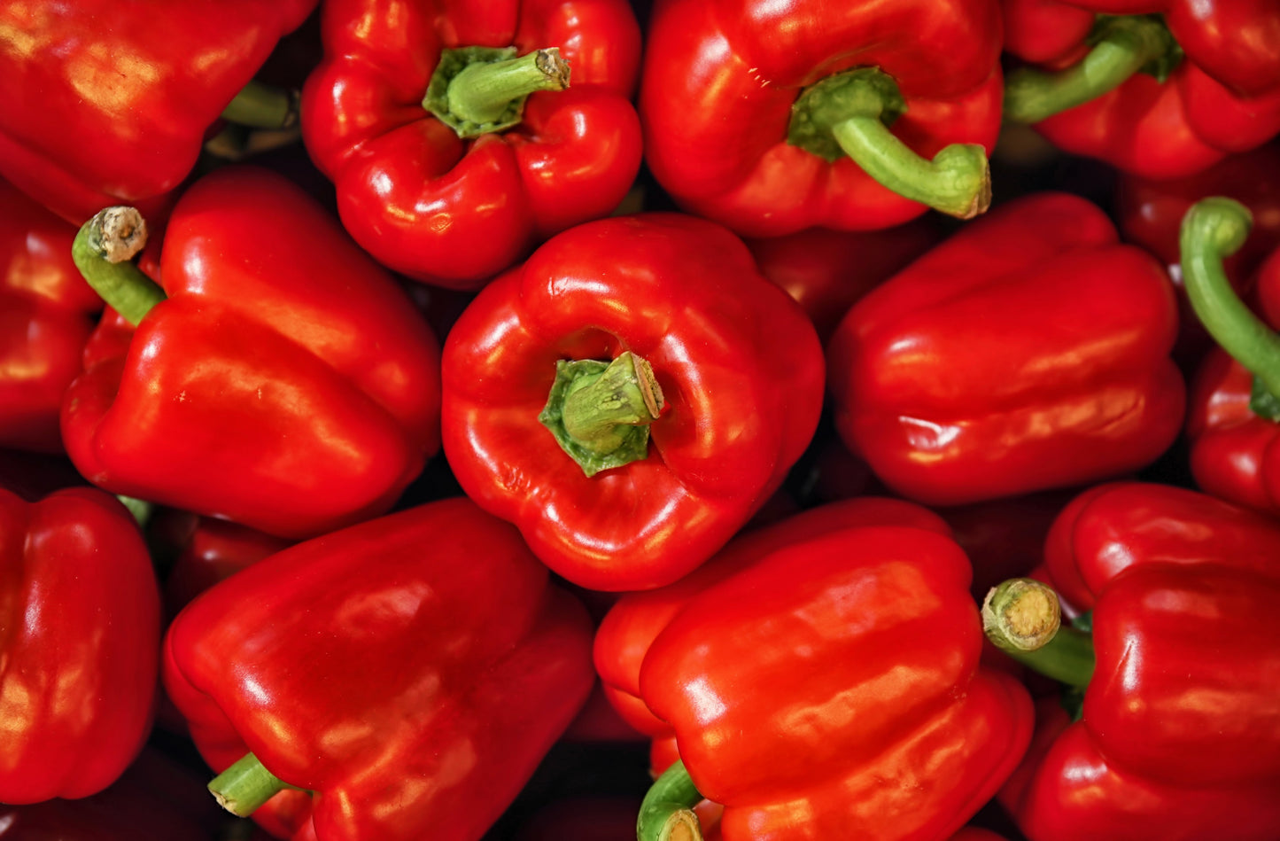 150 BIG RED Bell PEPPER Sweet Capsicum Annuum Vegetable Seeds