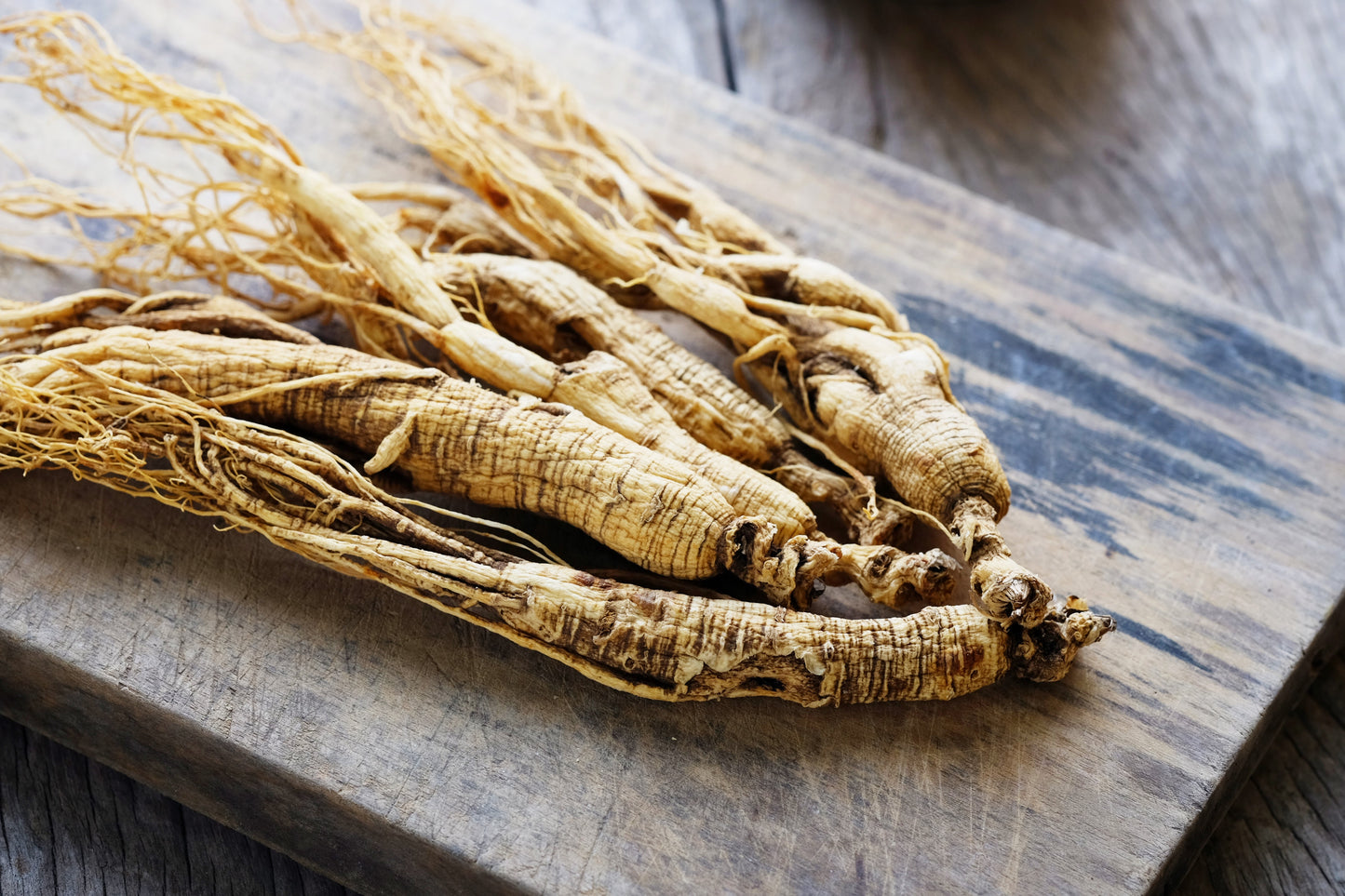 25 AMERICAN GINSENG Panax Quinquefolius Shade Herb Seeds