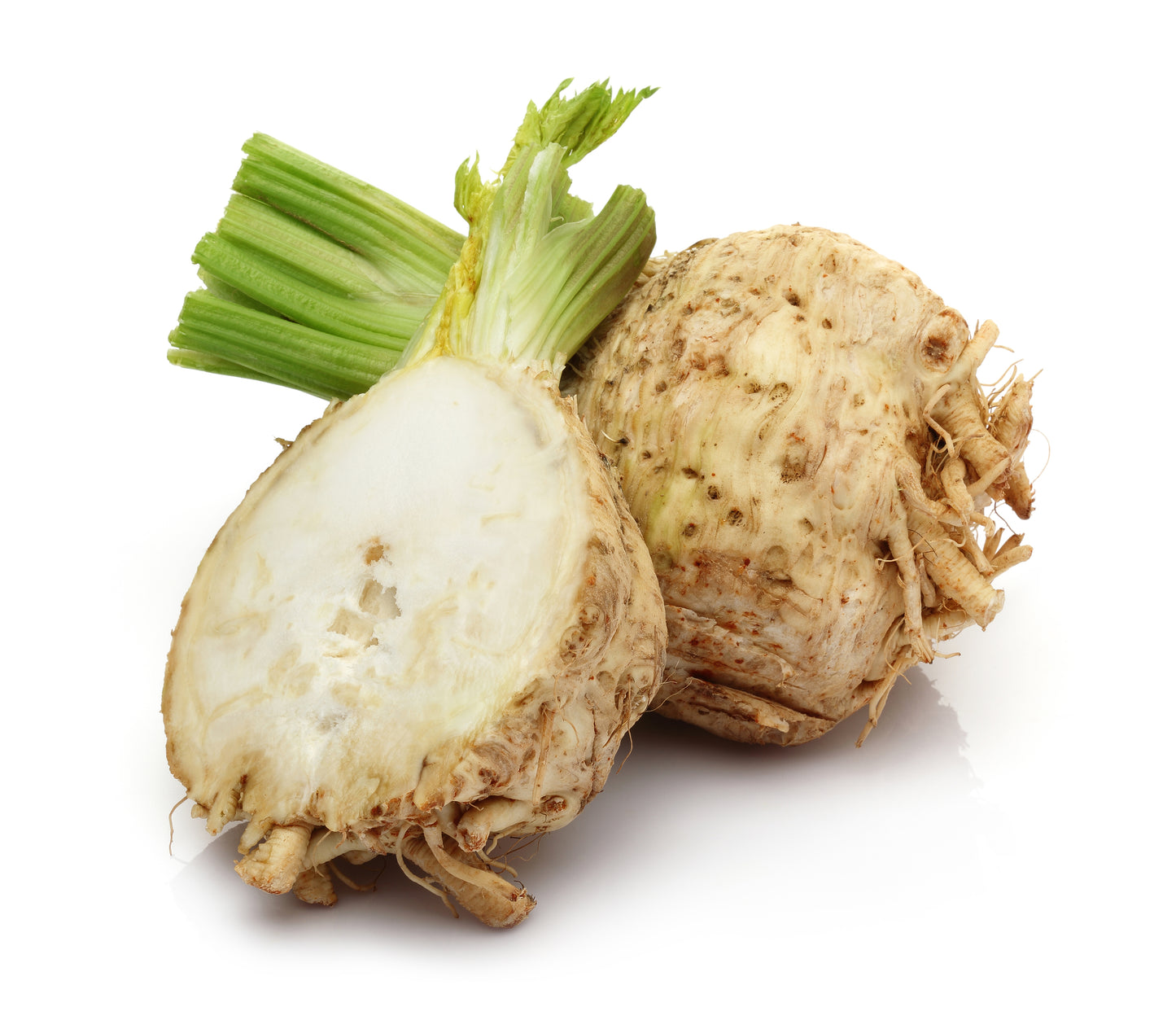 500 GIANT PRAGUE CELERIAC Apium Graveolens Celery Root Vegetable Seeds