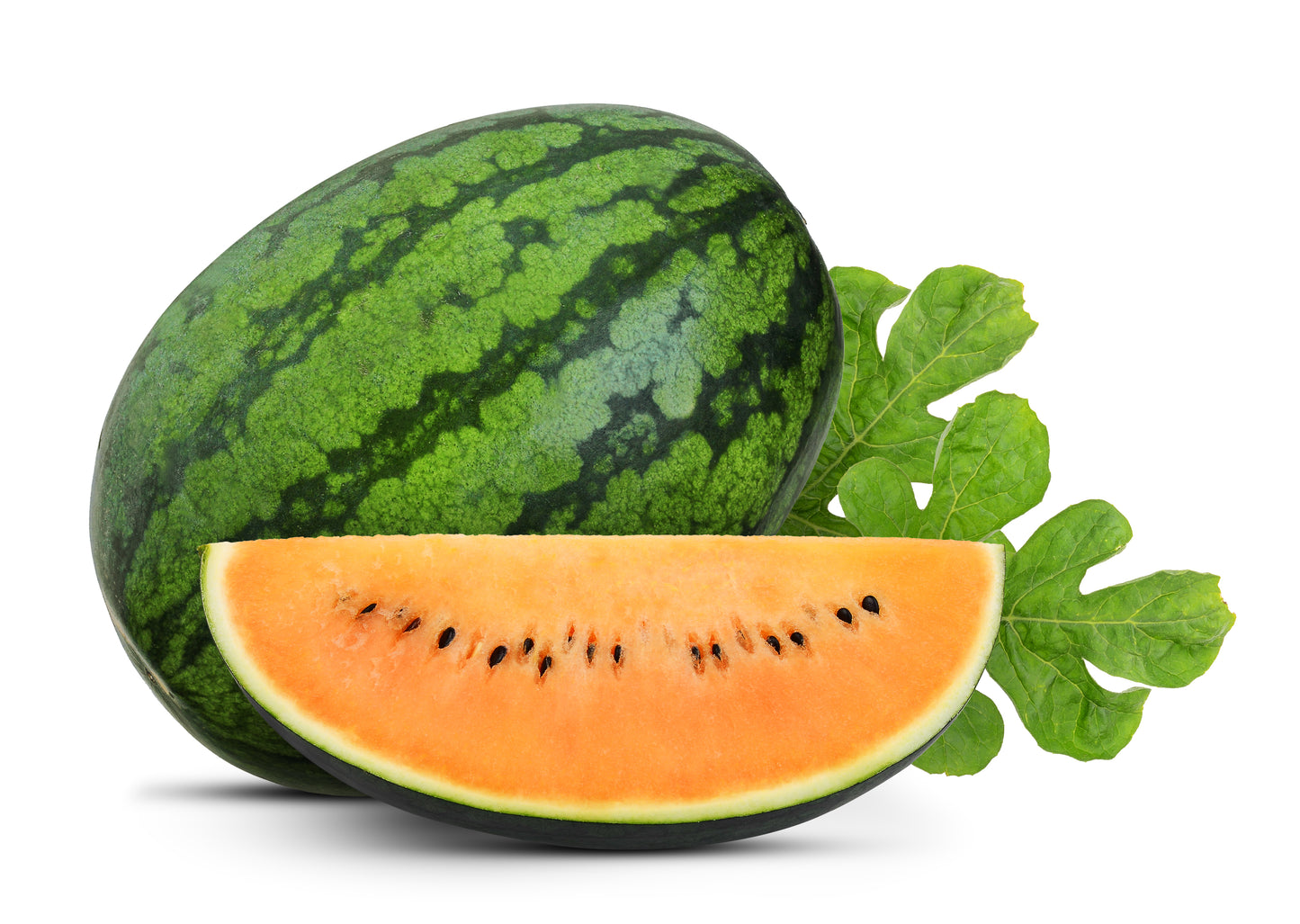 50 TENDERSWEET ORANGE WATERMELON Orange Flesh Citrullus Lanatus Fruit Melon Seeds