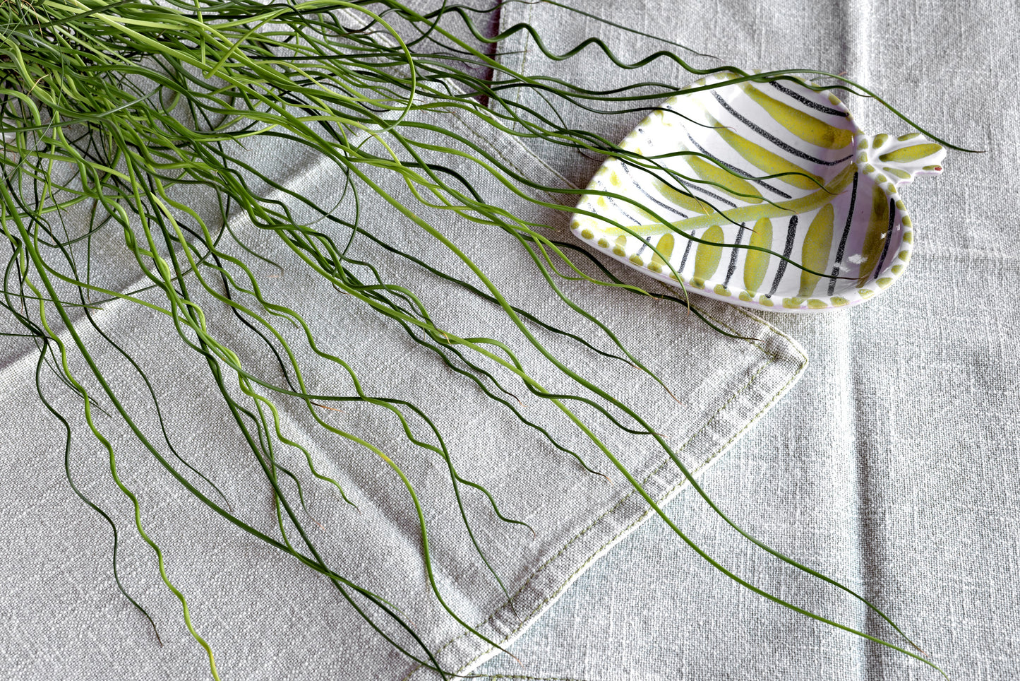 10 CORKSCREW RUSH Spiral Grass Juncus Effusus Spiralis Wetland Pond Seeds