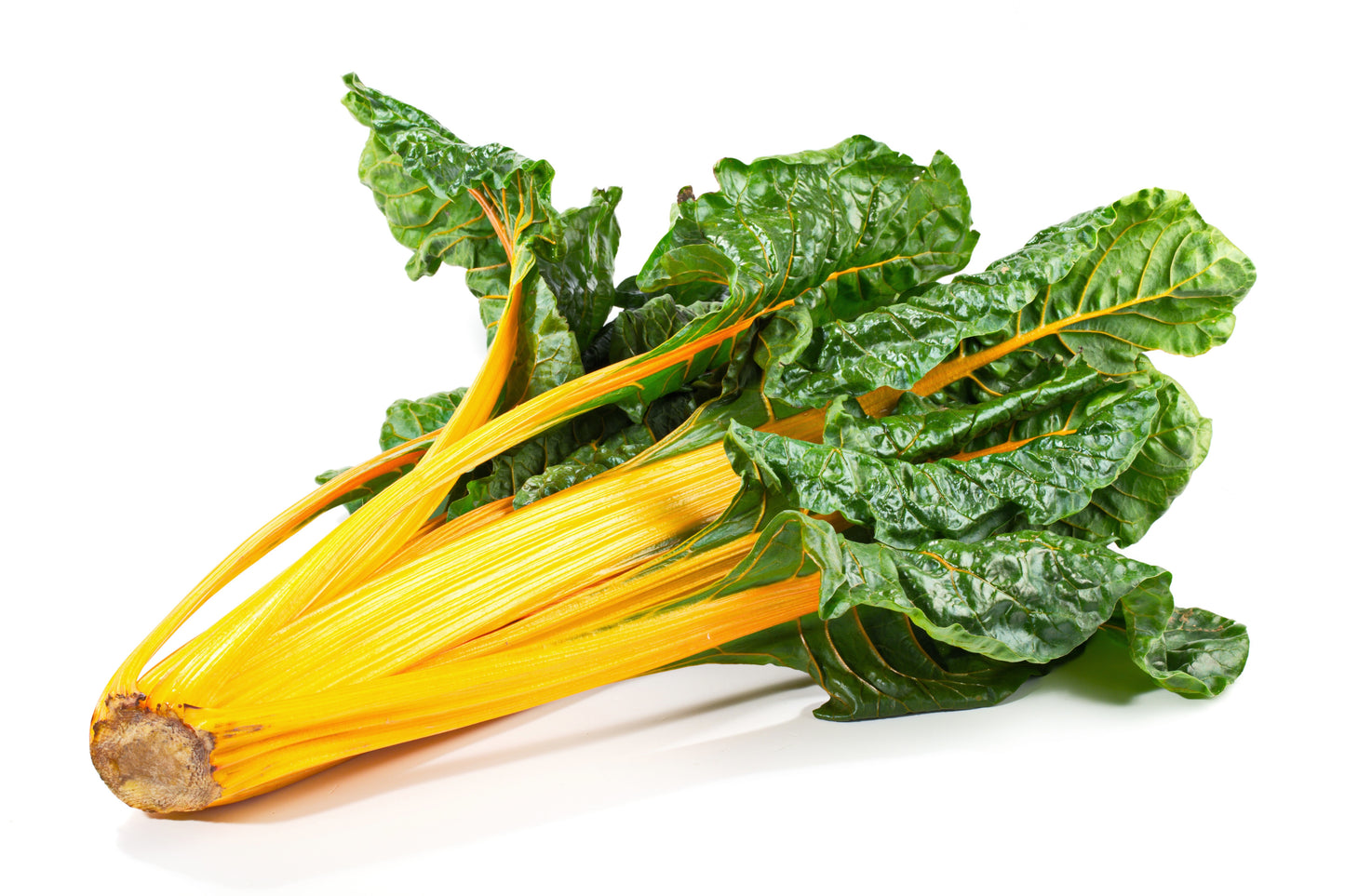 40 YELLOW CANARY SWISS CHARD Beta Vulgaris Perpetual Spinach Vegetable Seeds