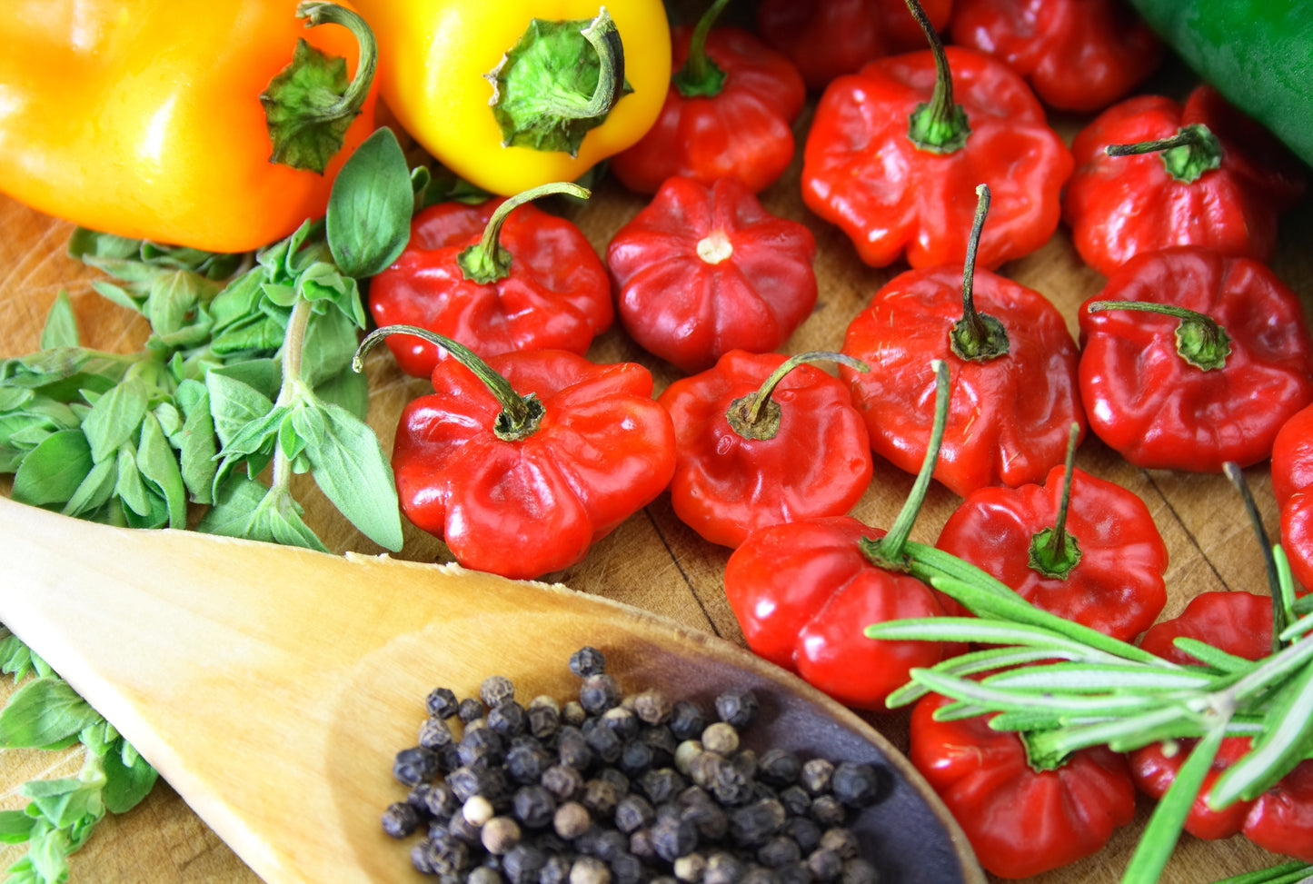 40 Red JAMAICAN HOT PEPPER Capsicum Chinense Scotch Bonnet Vegetable Seeds