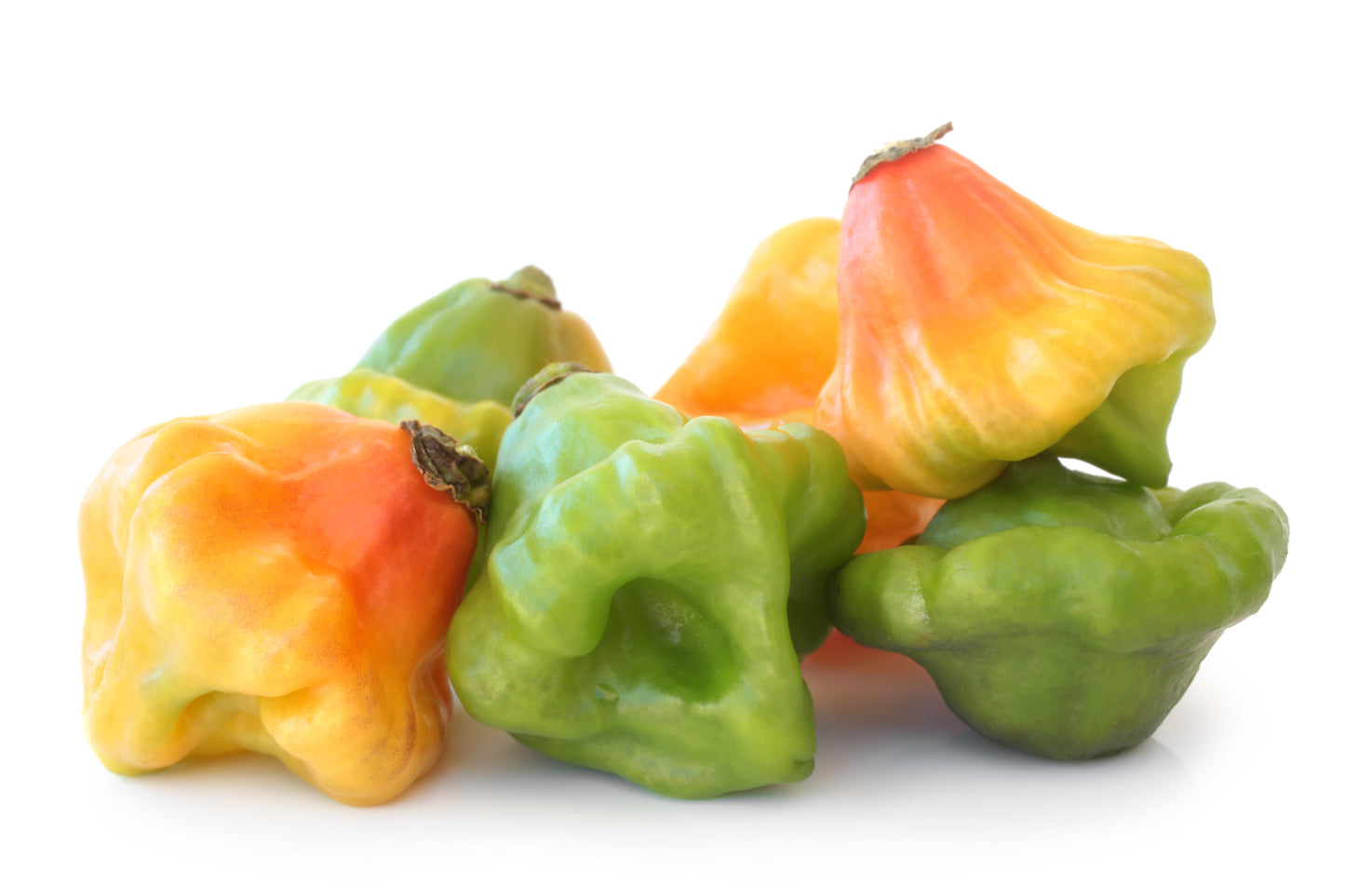 40 Orange SCOTCH BONNET PEPPER very hot Jamaican Capsicum Chinense Vegetable Seeds