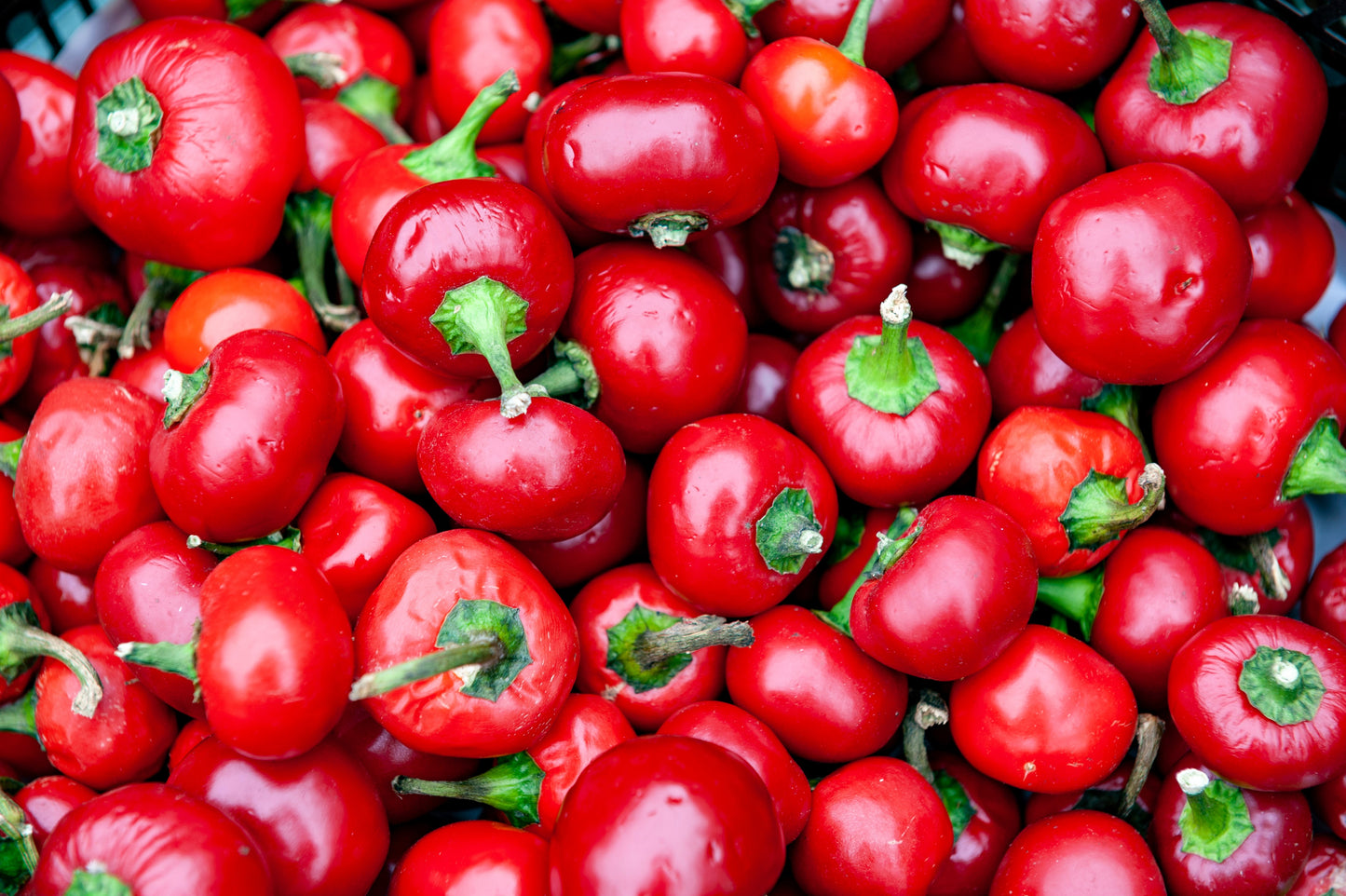 100 SWEET CHERRY PEPPER Red Chili Capsicum Annuum Vegetable Seeds