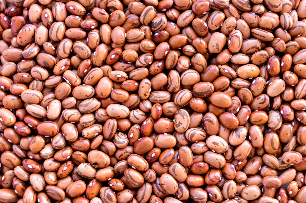 50 PINTO BEAN Phaseolus Vulgaris Brown Tan Speckled Vegetable Seeds