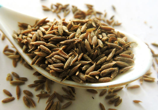 500 Organic CUMIN Cuminum Cyminum Herb Flower Seeds