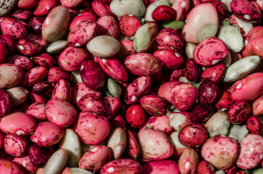 50 Speckled Dixie BUTTERPEA LIMA BEAN Phaseolus Vulgaris Bush Vegetable Seeds