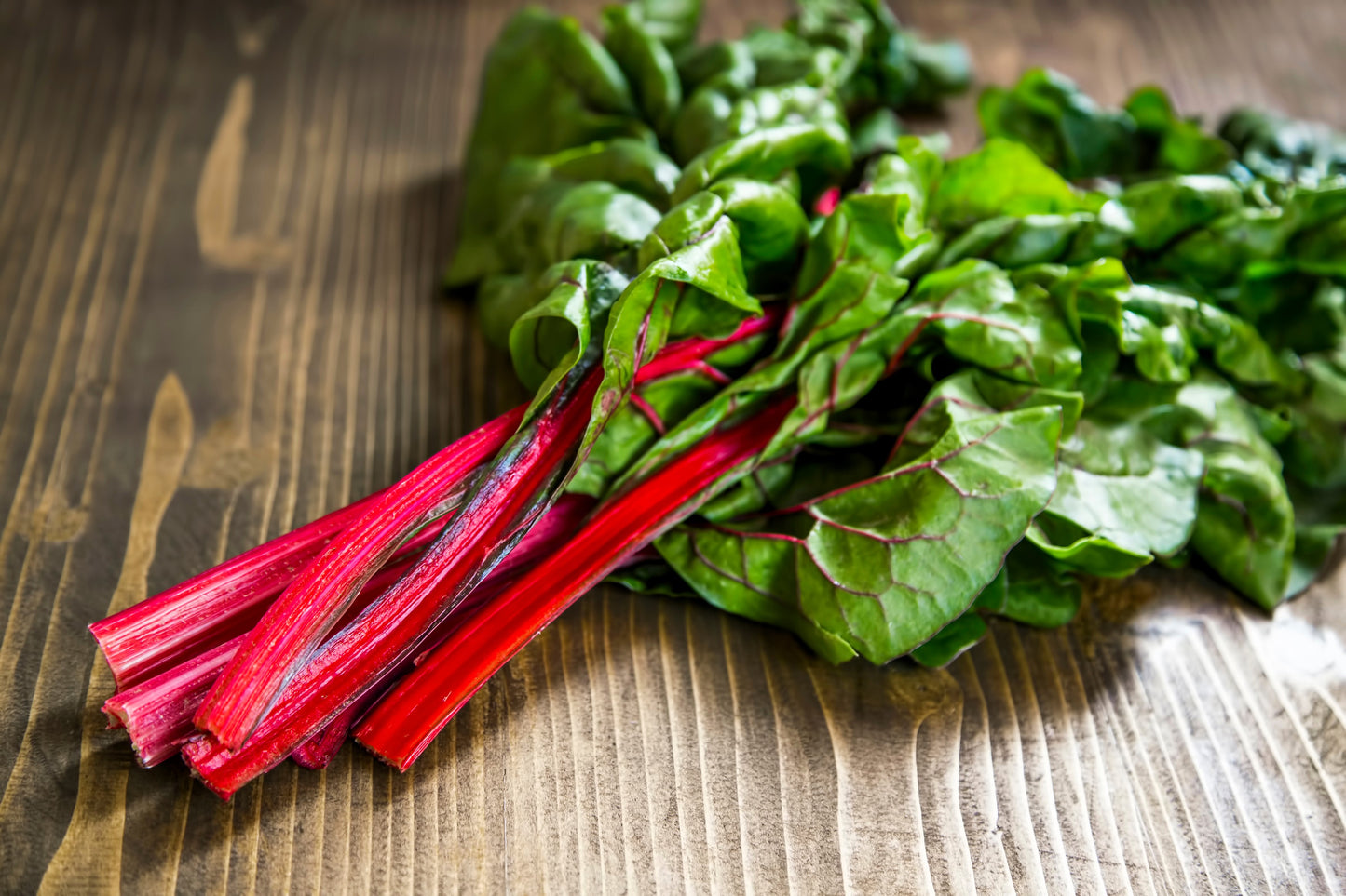 300 RHUBARB RED SWISS CHARD Perpetual Spinach Beta Vulgaris Vegetable Seeds