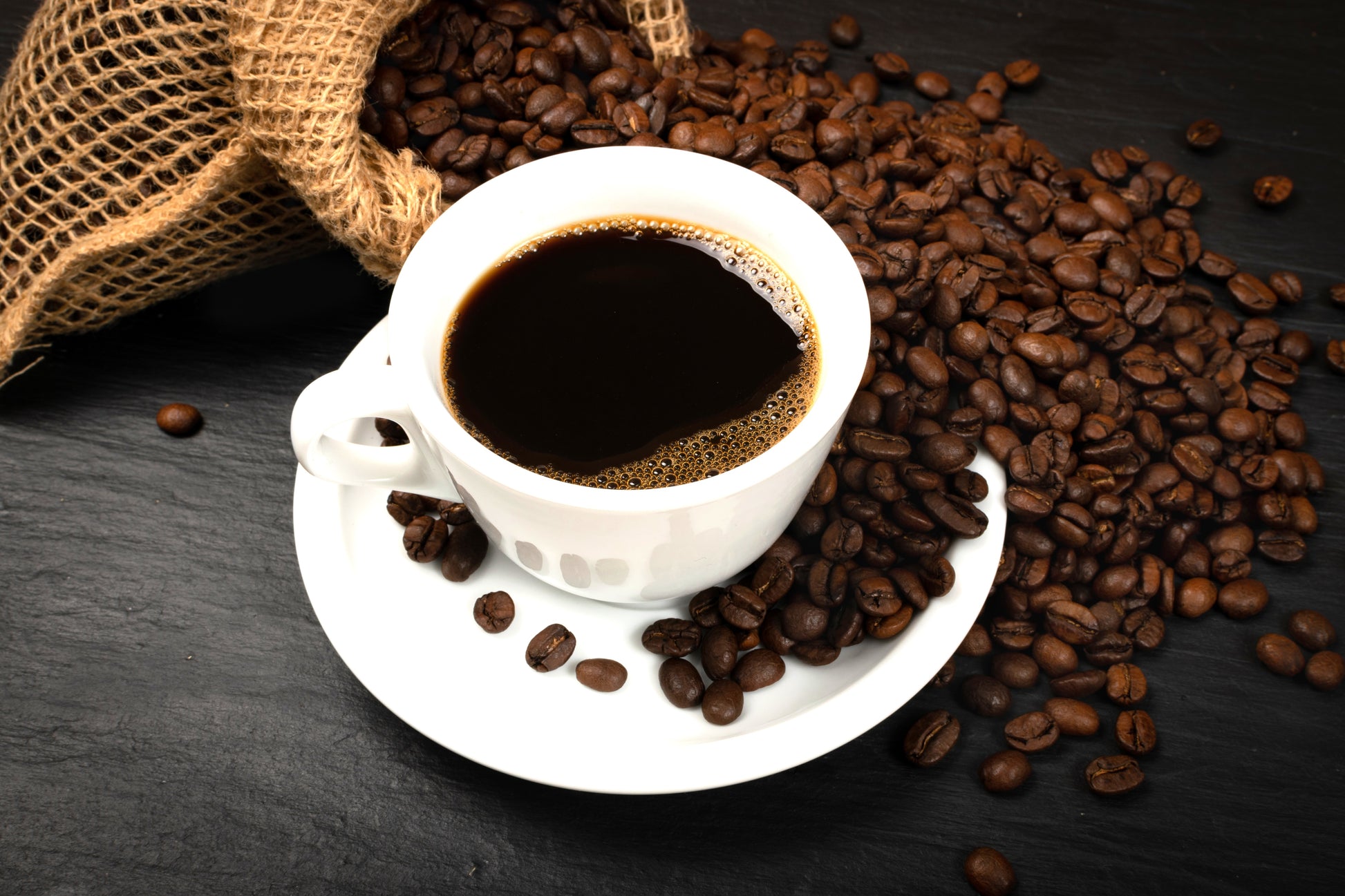 coffee plant seeds for sale 15 ARABICA COFFEE Tree Shrub Seeds