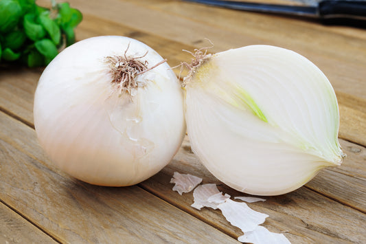 500 Sweet WHITE SPANISH ONION Allium Cepa Vegetable Seeds