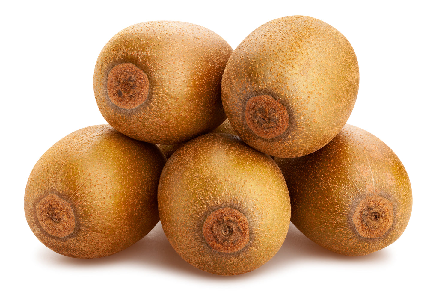 50 GOLDEN KIWI FRUIT Yellow Actinidia Chinensis Kiwifruit Chinese Gooseberry Flower Vine Seeds