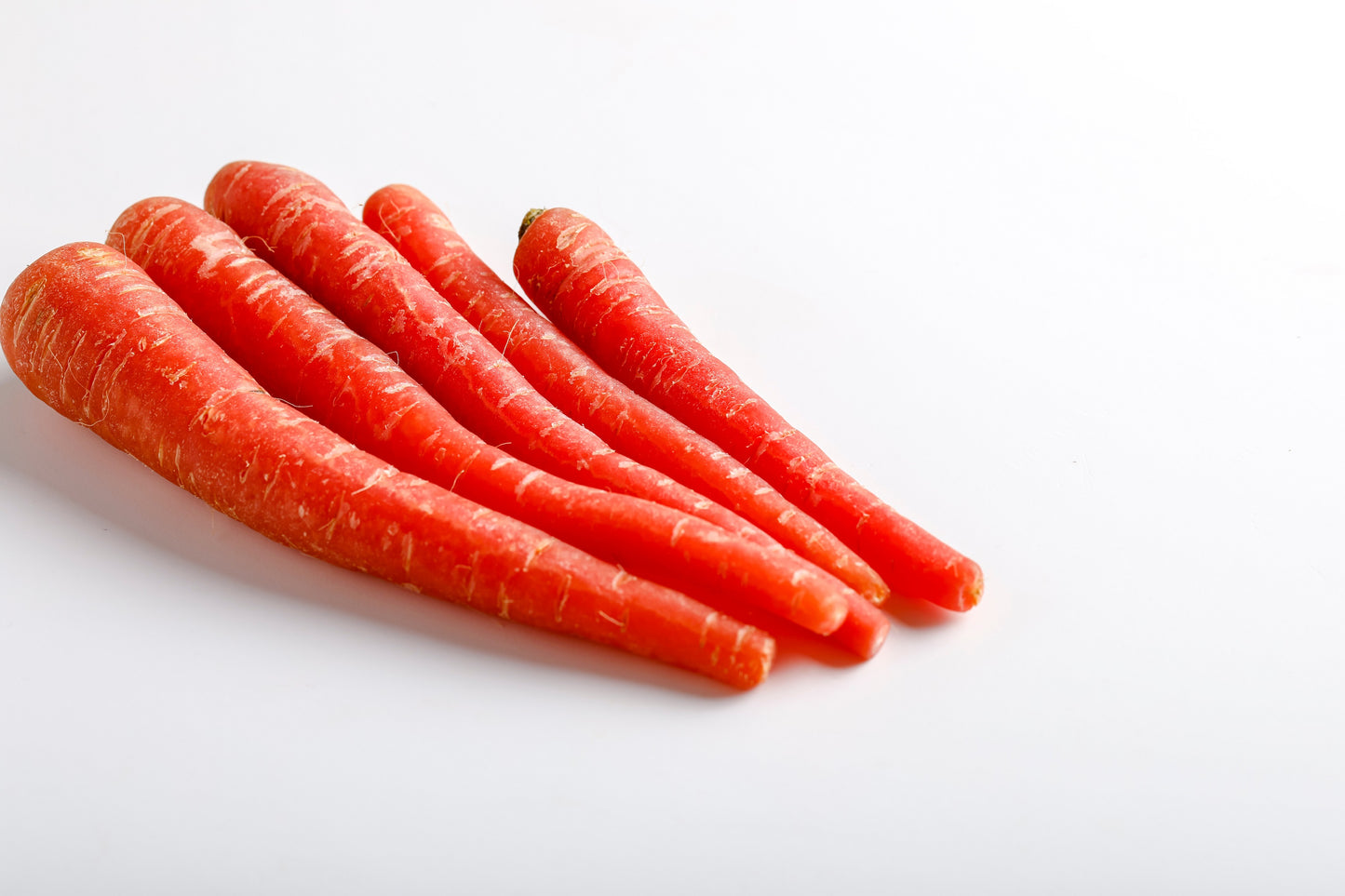 400 ATOMIC RED CARROT Daucus Carota Vegetable Seeds