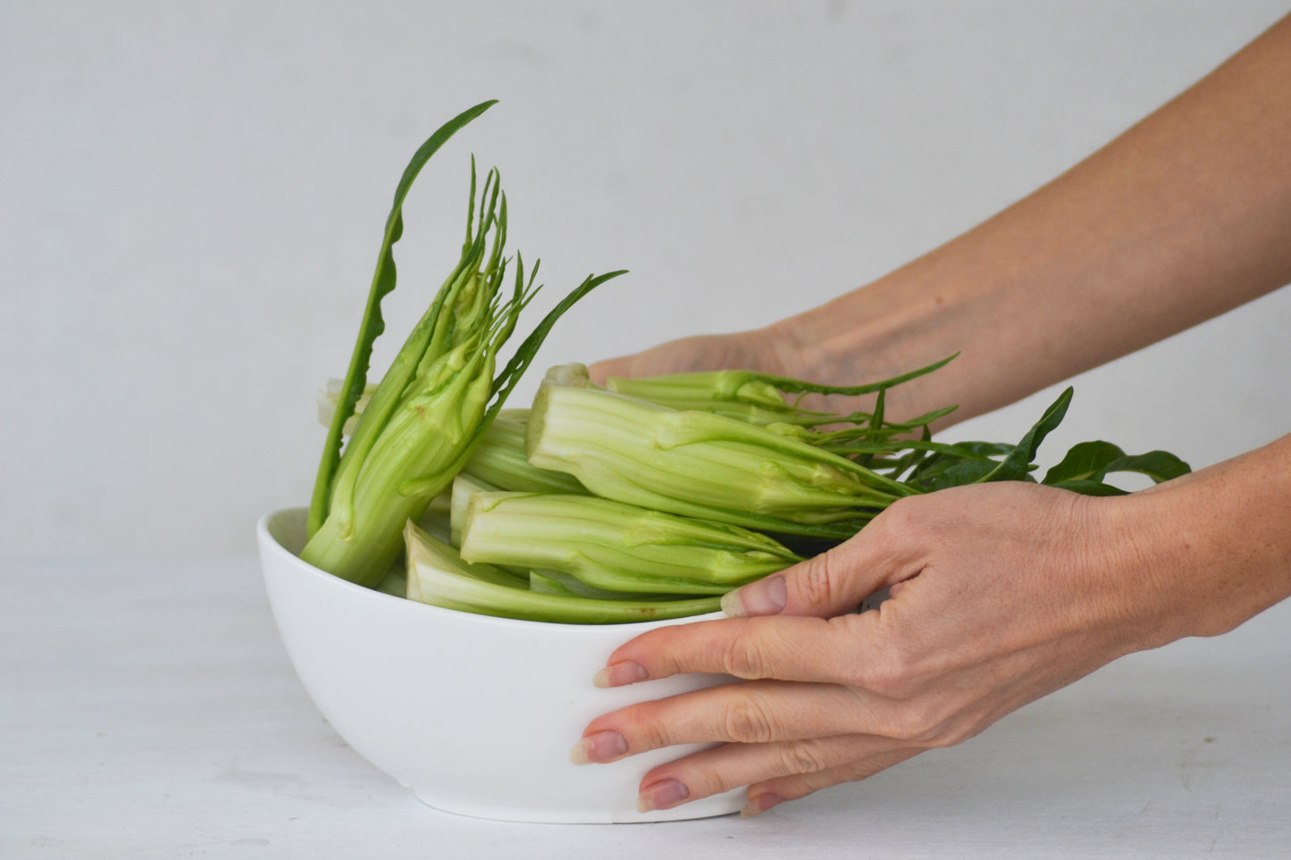 250 CICORIA CATALOGNA Puntarelle Chicorium Chicory Vegetable Seeds