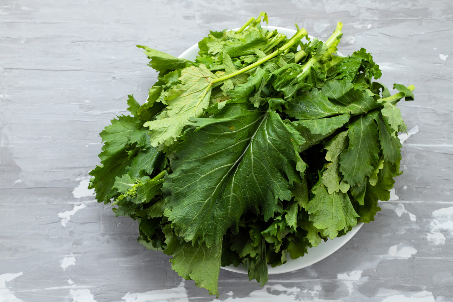 1500 SEVEN TOP TURNIP For Leaf Greens & Sprouts Brassica Rapa Vegetable Seeds