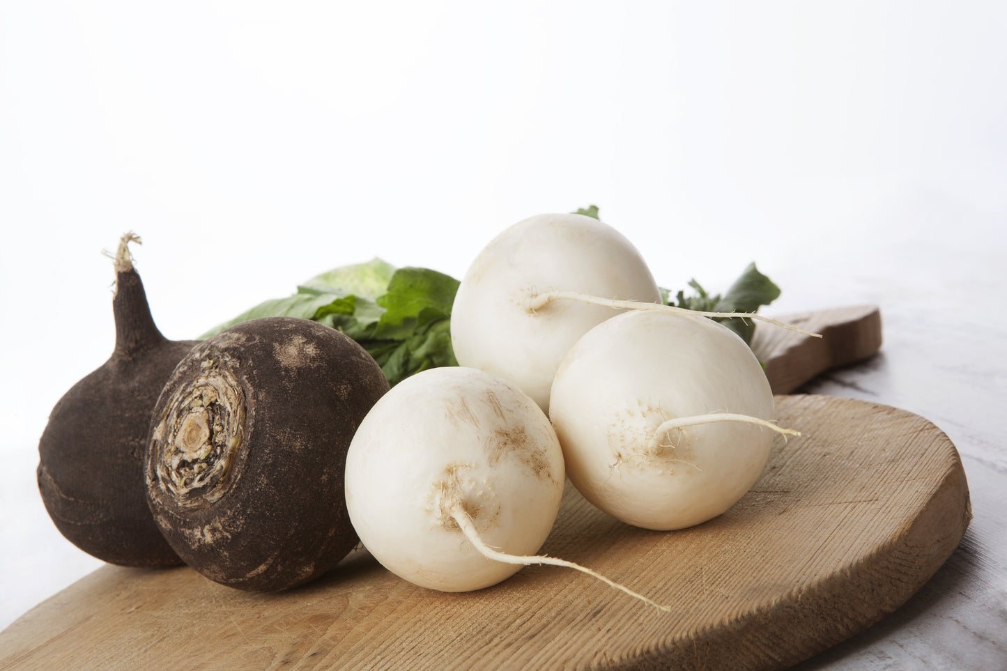 500 Hailstone WHITE GLOBE RADISH Raphanus Sativus Vegetable Seeds
