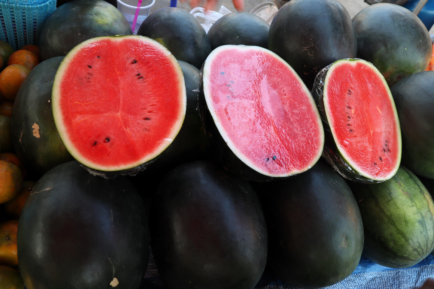 100 SUGAR BABY WATERMELON Citrullus lanatus Fruit Melon Seeds