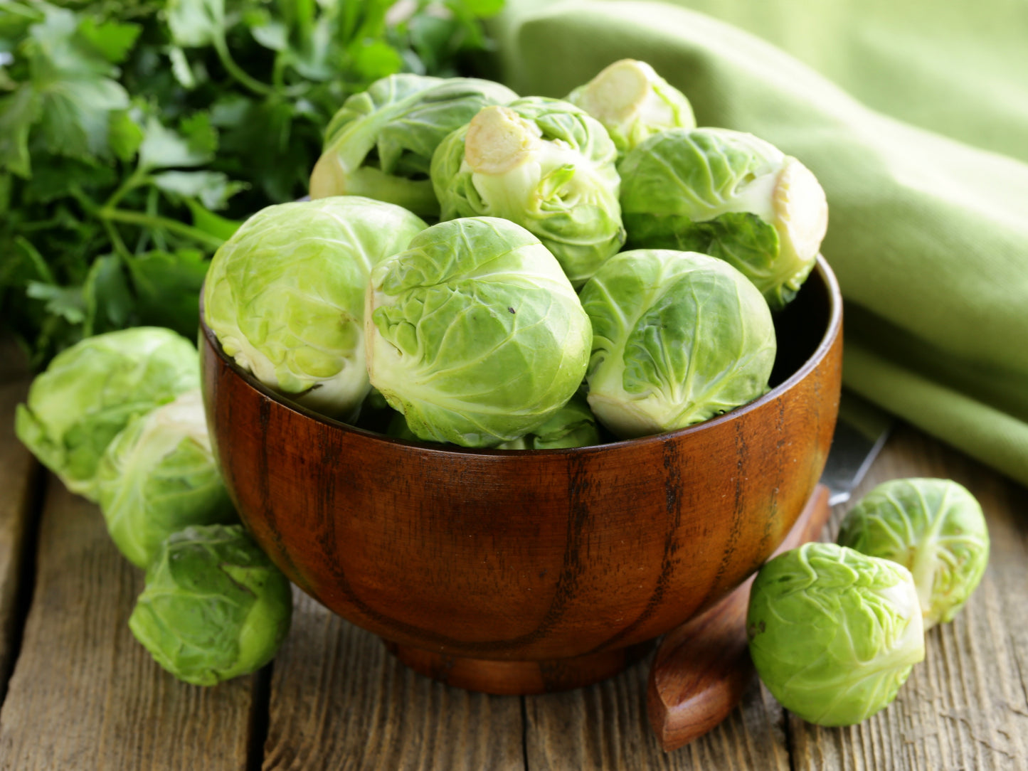 400 CATSKILL BRUSSEL SPROUT Sprouts Brassica Oleracea Vegetable Seeds