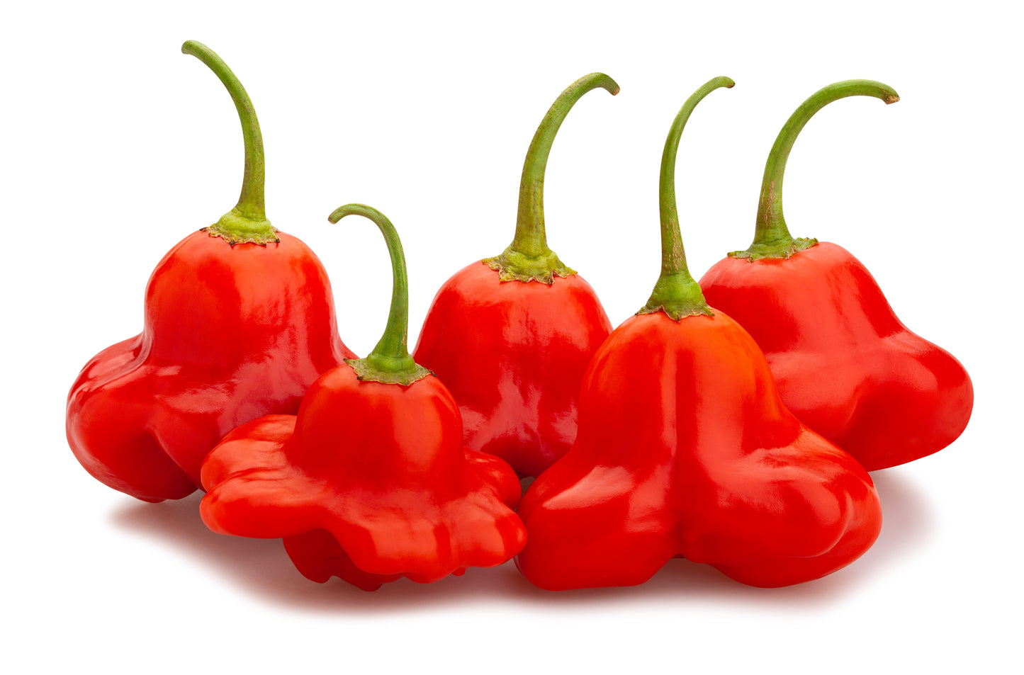 50 Ubatuba CAMBUCI PEPPER Red Brazilian Capsicum Baccatum Vegetable Seeds