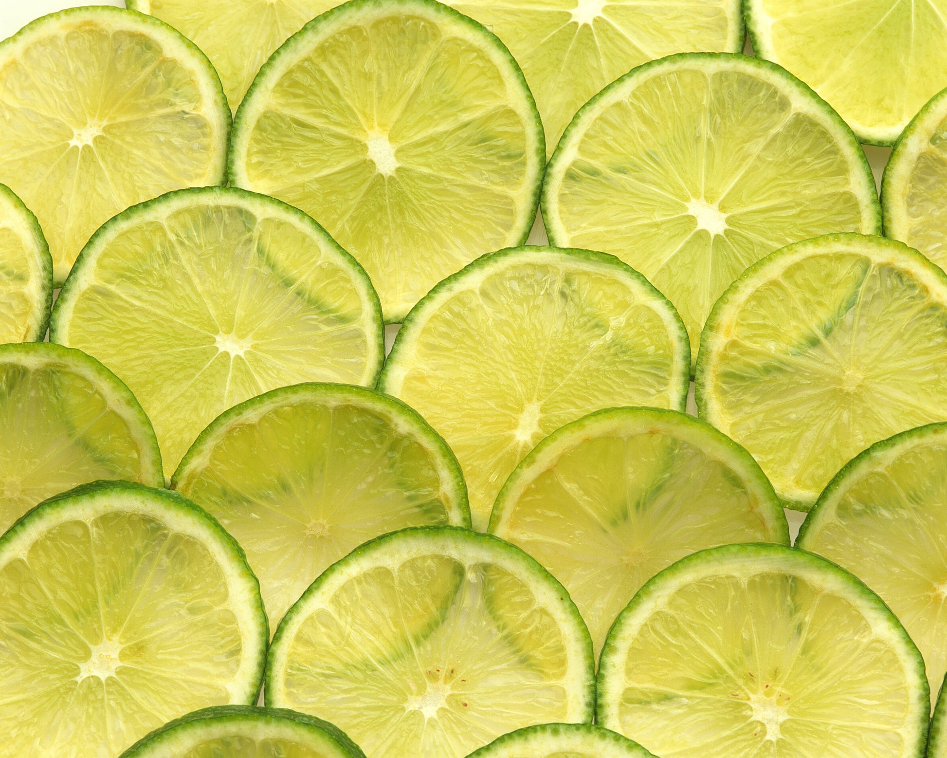 Citrus Aurantifolia, Key Lime, West Indian Lime - 5~50 Semi - Foto 9
