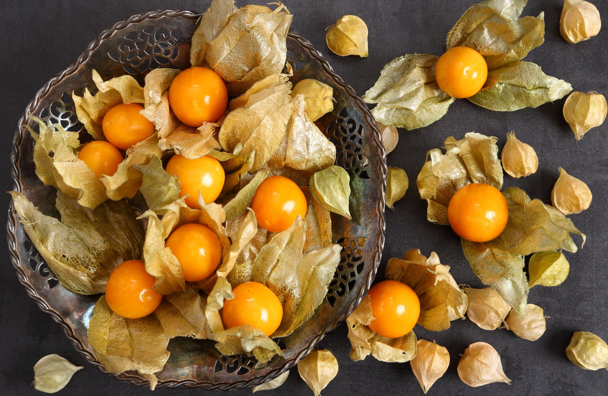 pineapple ground cherry tomato plant 50 PINEAPPLE TOMATILLO Yellow Ground Cherry Physalis Ixocarpa Fruit Vi – Seedville USA