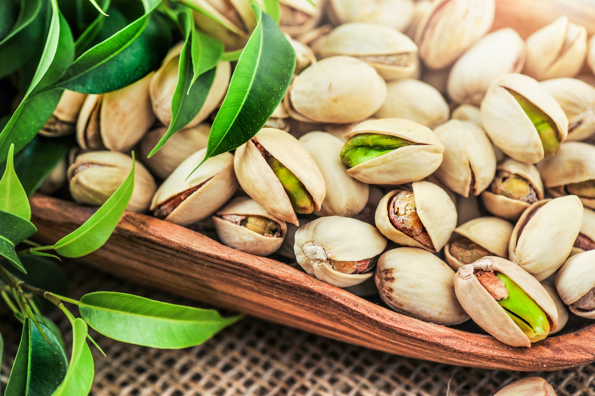 where to buy pistachio seeds for planting 5 PISTACHIO NUT TREE Pistacia Vera Fruit Red Flowers Seeds