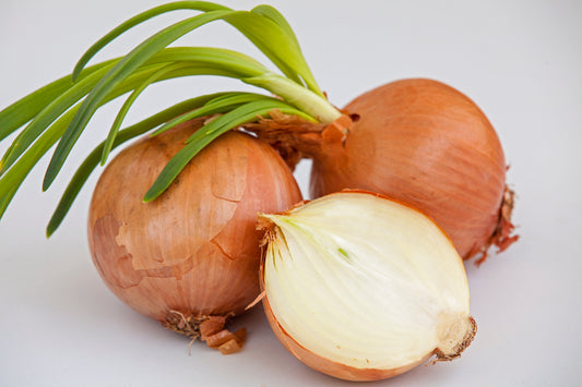 500 Sweet YELLOW SPANISH ONION Allium Cepa Vegetable Seeds