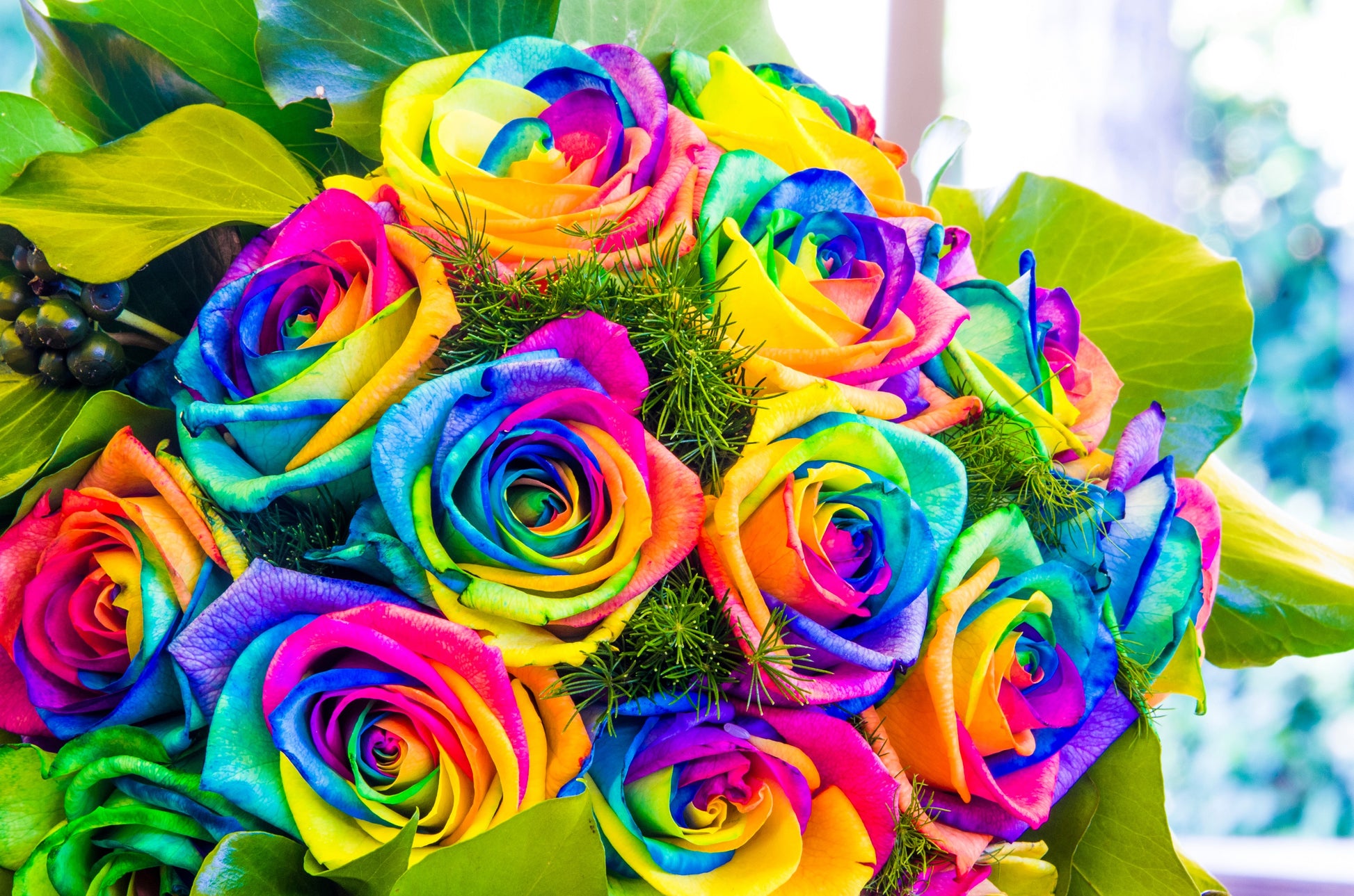 Make Your Own - 5 RAINBOW ROSE BUSH Seeds Shrub Rosa Flower Make Your Own - 5 RAINBOW ROSE BUSH Seeds Shrub Rosa Flower