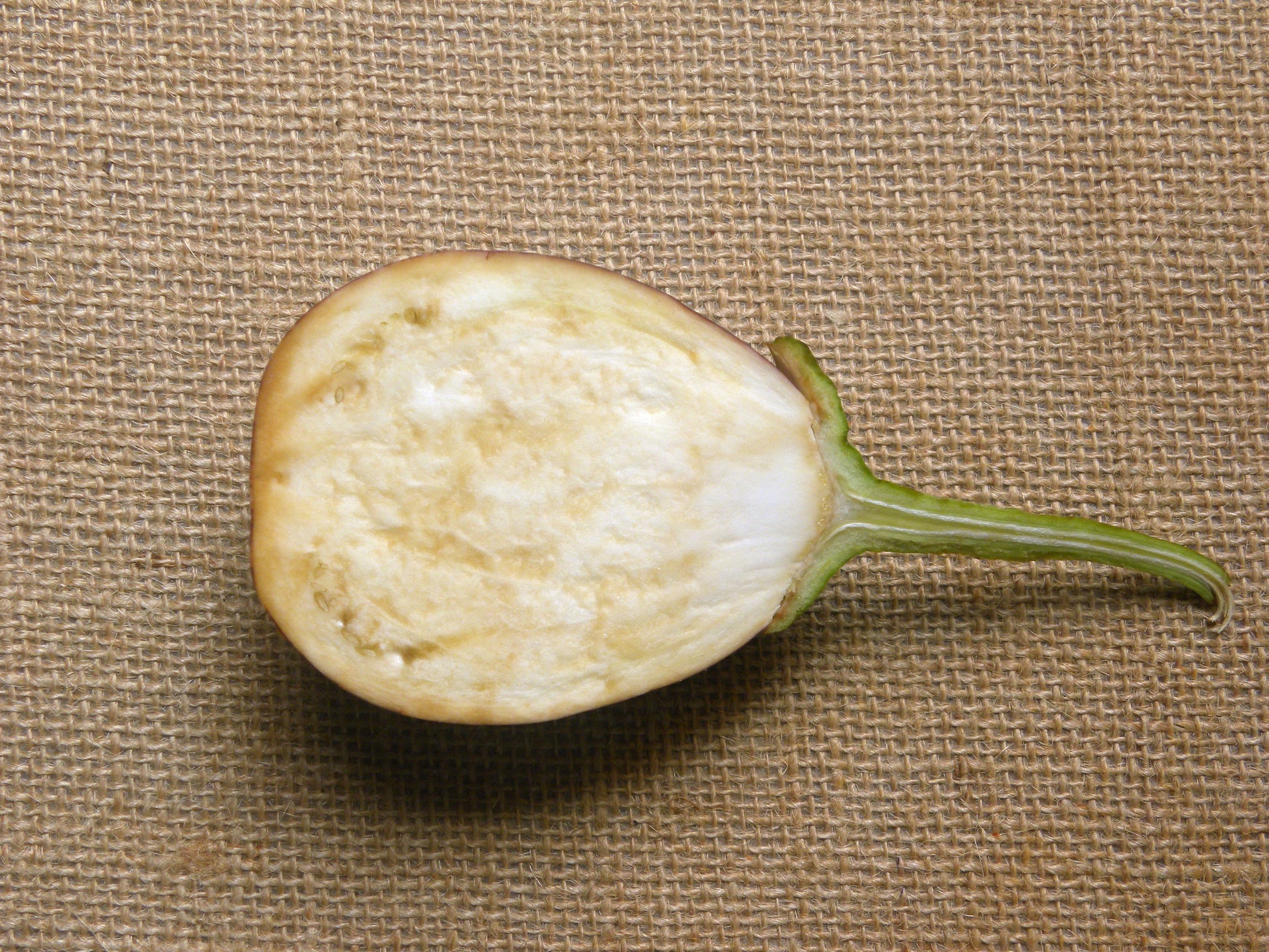 rosa bianca eggplant seeds 50 Organic Italian EGGPLANT ROSA BIANCA Solanum Melongena Esculentum V – Seedville USA
