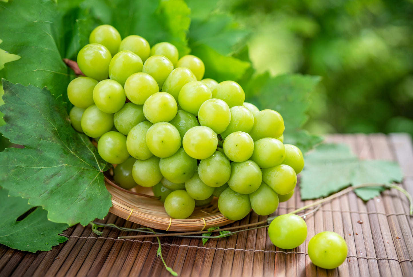 50 GREEN (Dessert / Table) GRAPE Vitis Vinifera Fruit Vine Seeds
