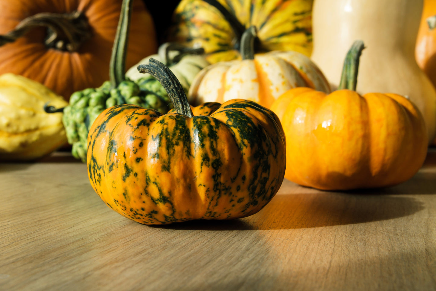 20 MINI MIX PUMPKIN Miniature Cucurbita Pepo White Green Orange Striped Vegetable Seeds