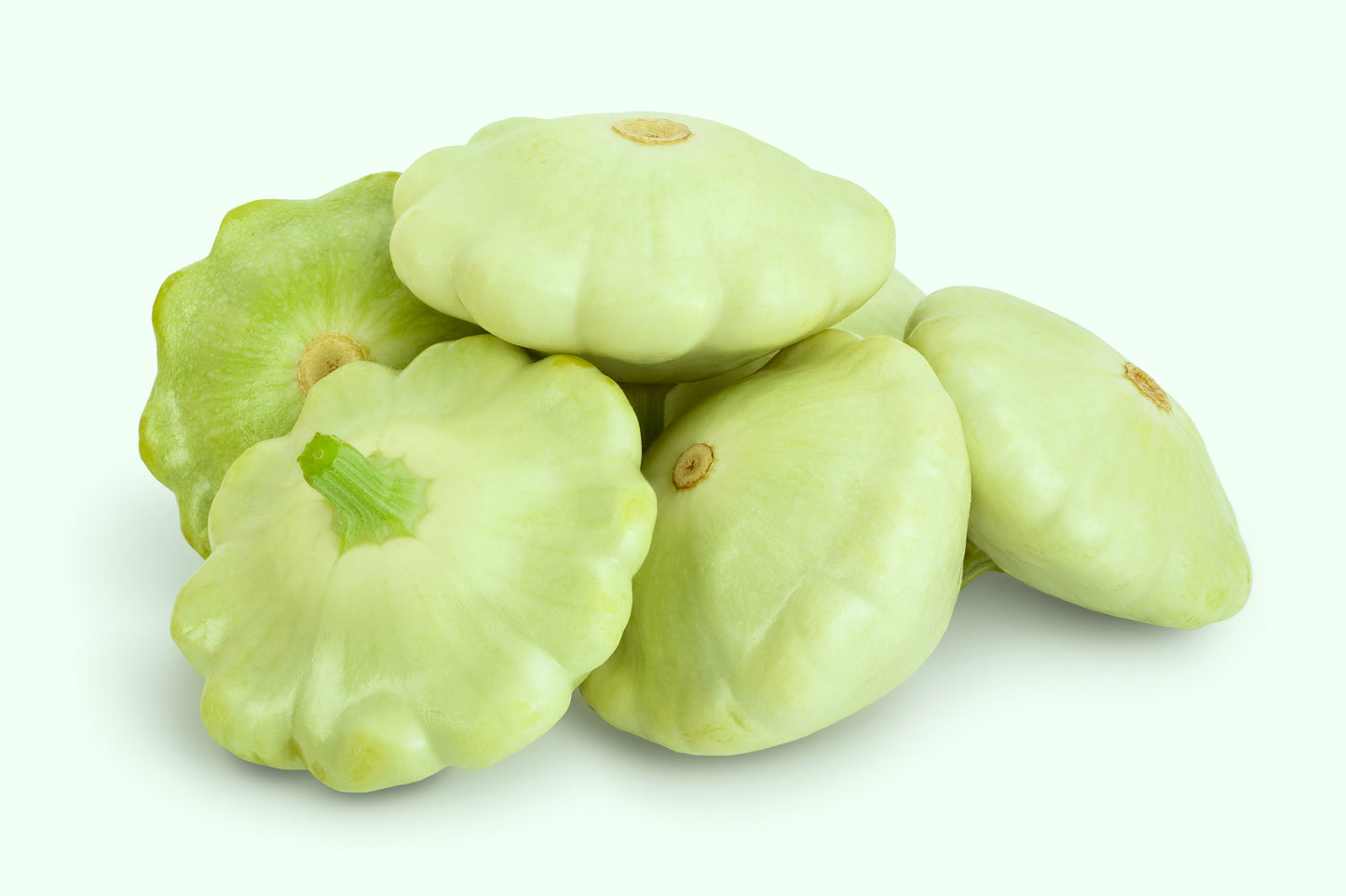 20 Green Tint BUSH SCALLOP SQUASH (Patty Pan / Paty Pan / Squanter Squash) Summer Cucurbita Pepo Vegetable Seeds