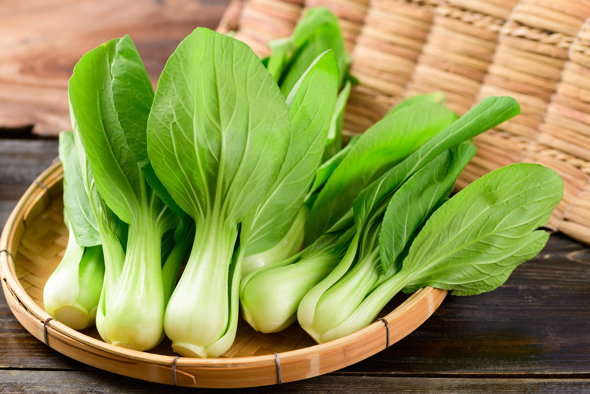 2000 CANTON PAK CHOI (Bok Choy / Chinese Cabbage) Brassica Rapa Chinensis Vegetable Seeds