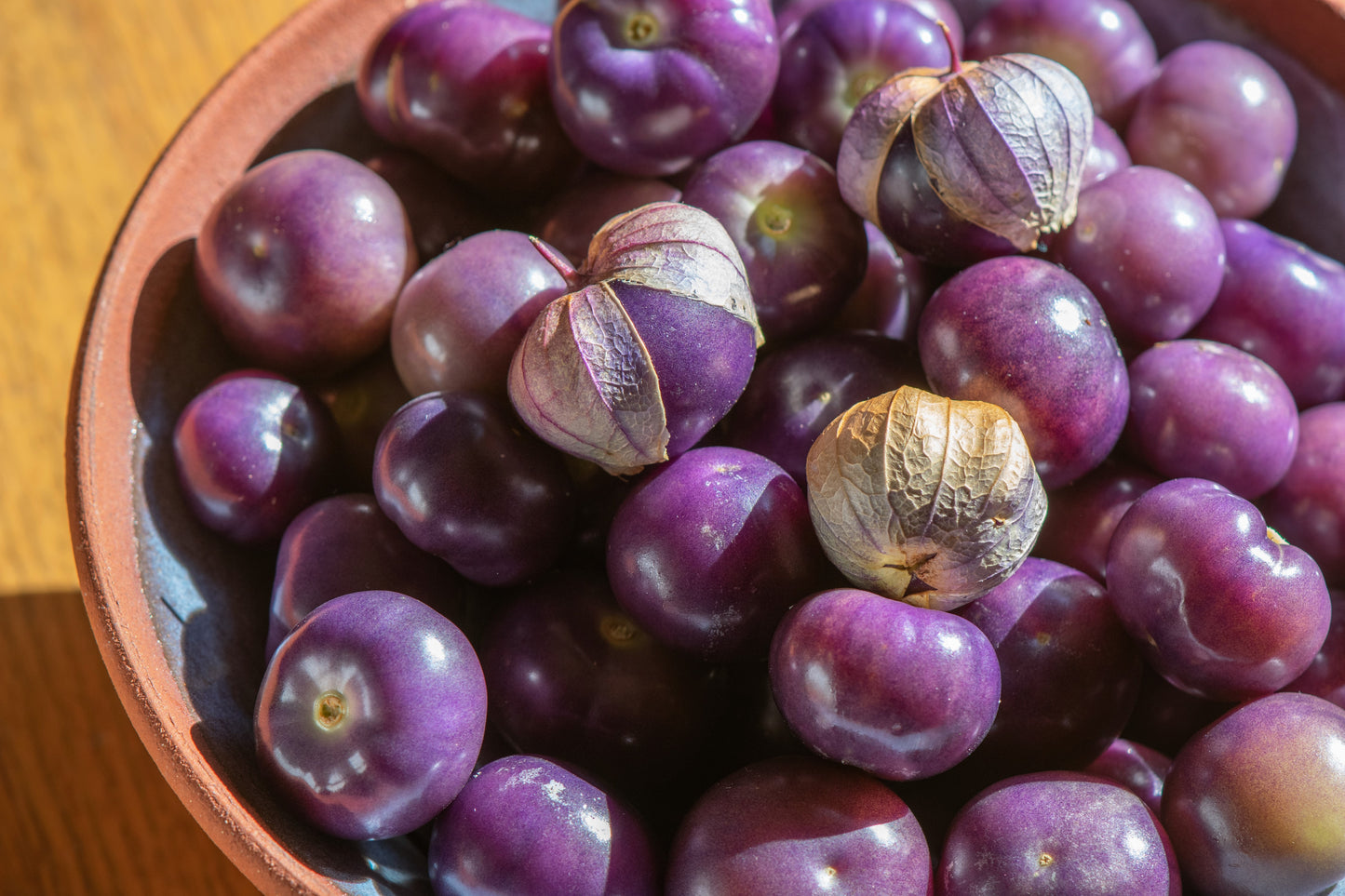 50 PURPLE TOMATILLO Husk Tomato Physalis Ixocarpa Fruit Vegetable Seeds