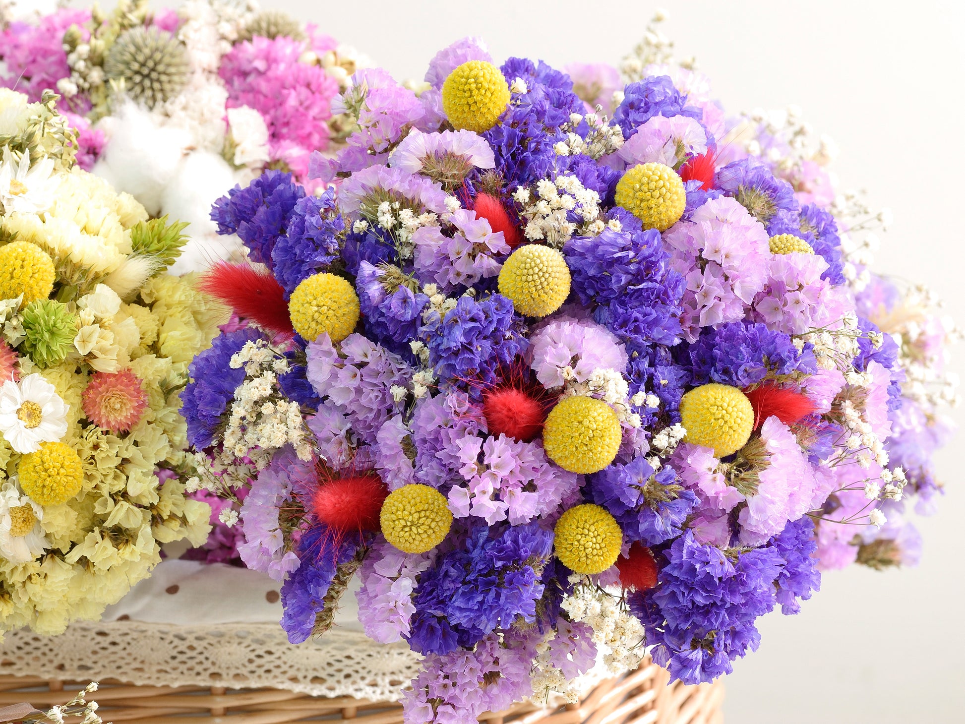 billy ball flower seeds 20 Yellow BILLY BUTTONS / WOLLYHEADS Craspedia Globosa Flower Seeds