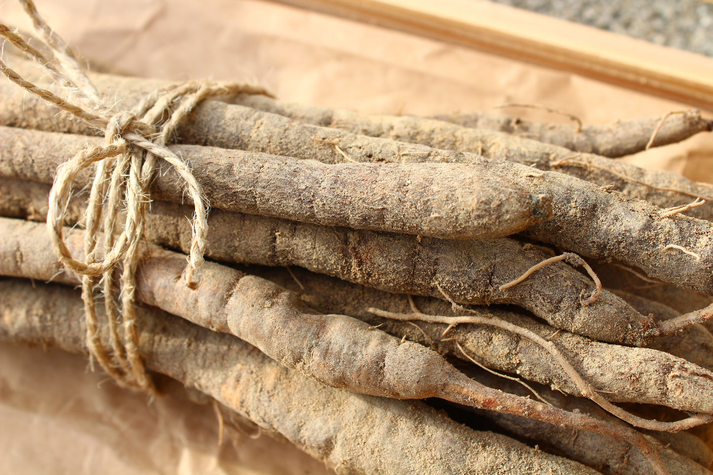 50 MAMMOTH Sandwich Island SALSIFY Tragopogon White Root Vegetable Oyster Flower Seeds