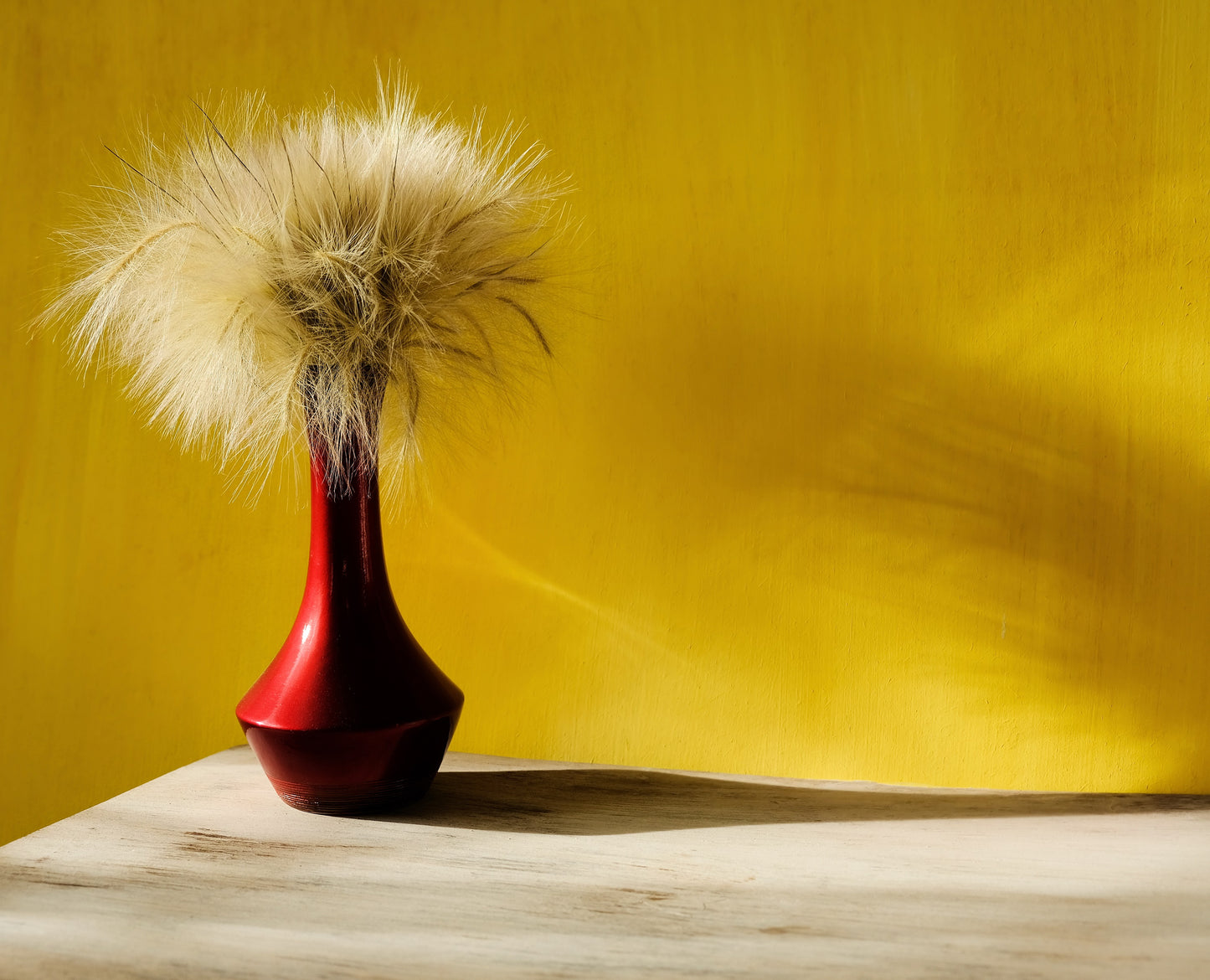 25 MEXICAN FEATHER GRASS Pony Tails Ornamental Stipa Tenuissima Nassella Seeds Wind Whisp