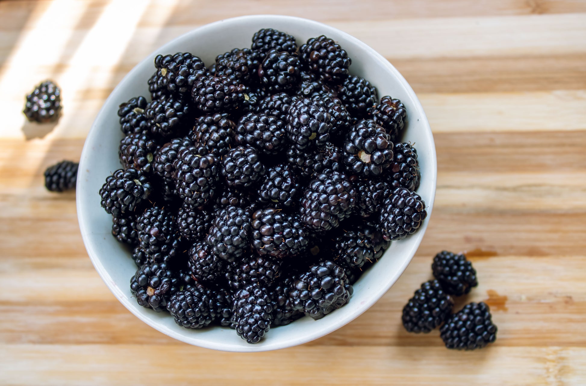 blackberry plant seeds 100 BLACKBERRY Fruit Bush Rubus Allegheniensis Seeds – Seedville USA