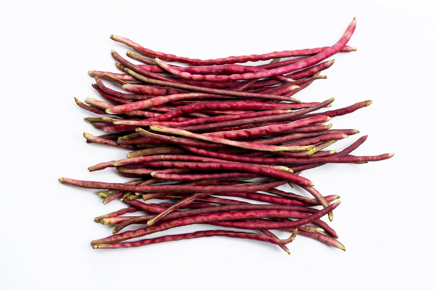 25 RED NOODLE BEAN Yard Long Asparagus Bean Chinese Phaseolus Vulgaris Legume Vegetable Seeds