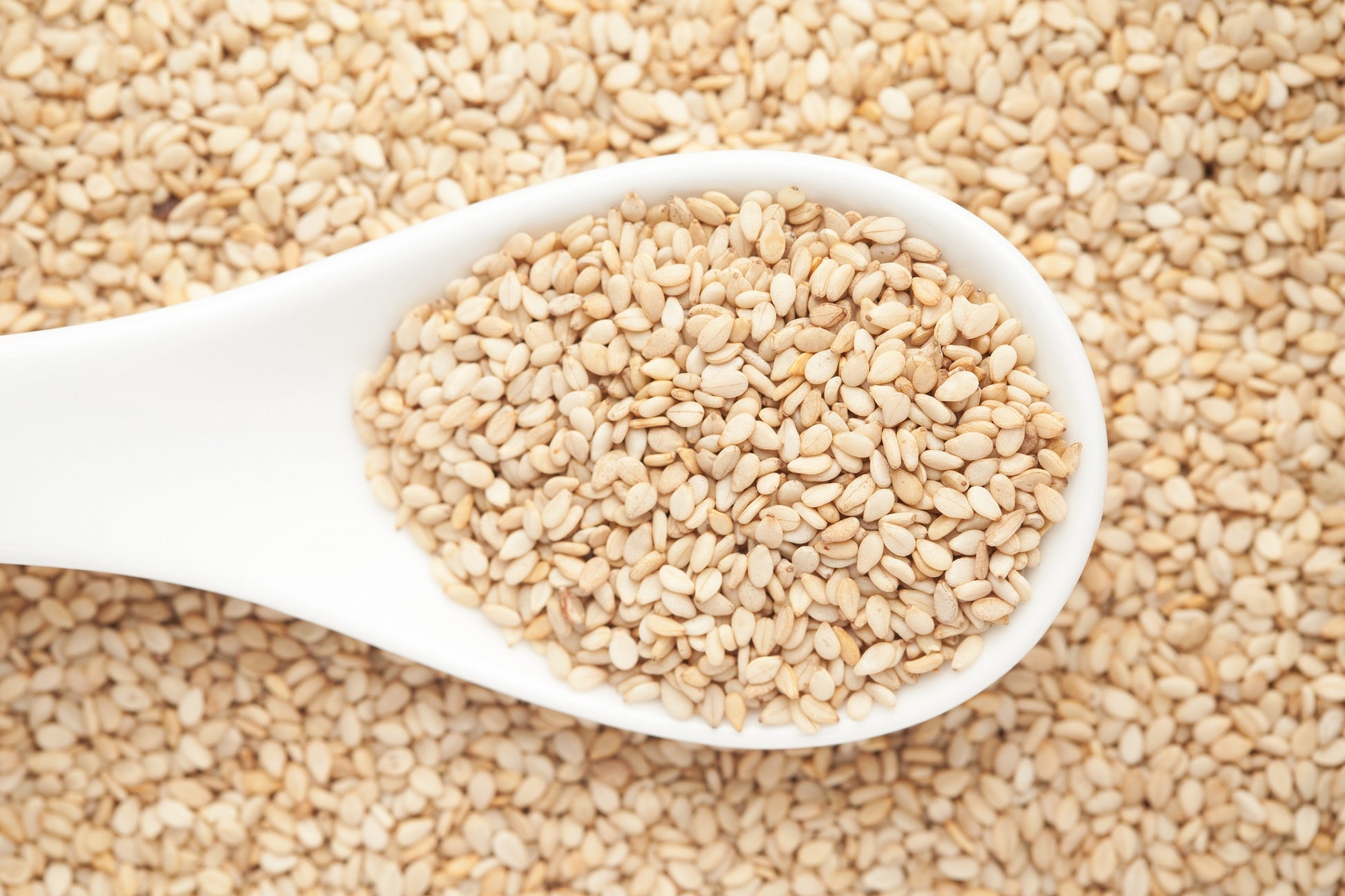buy sesame seeds for planting 1500 Organic SESAME SEED Sesamum Indicum White Flower Vegetable Bread – Seedville USA