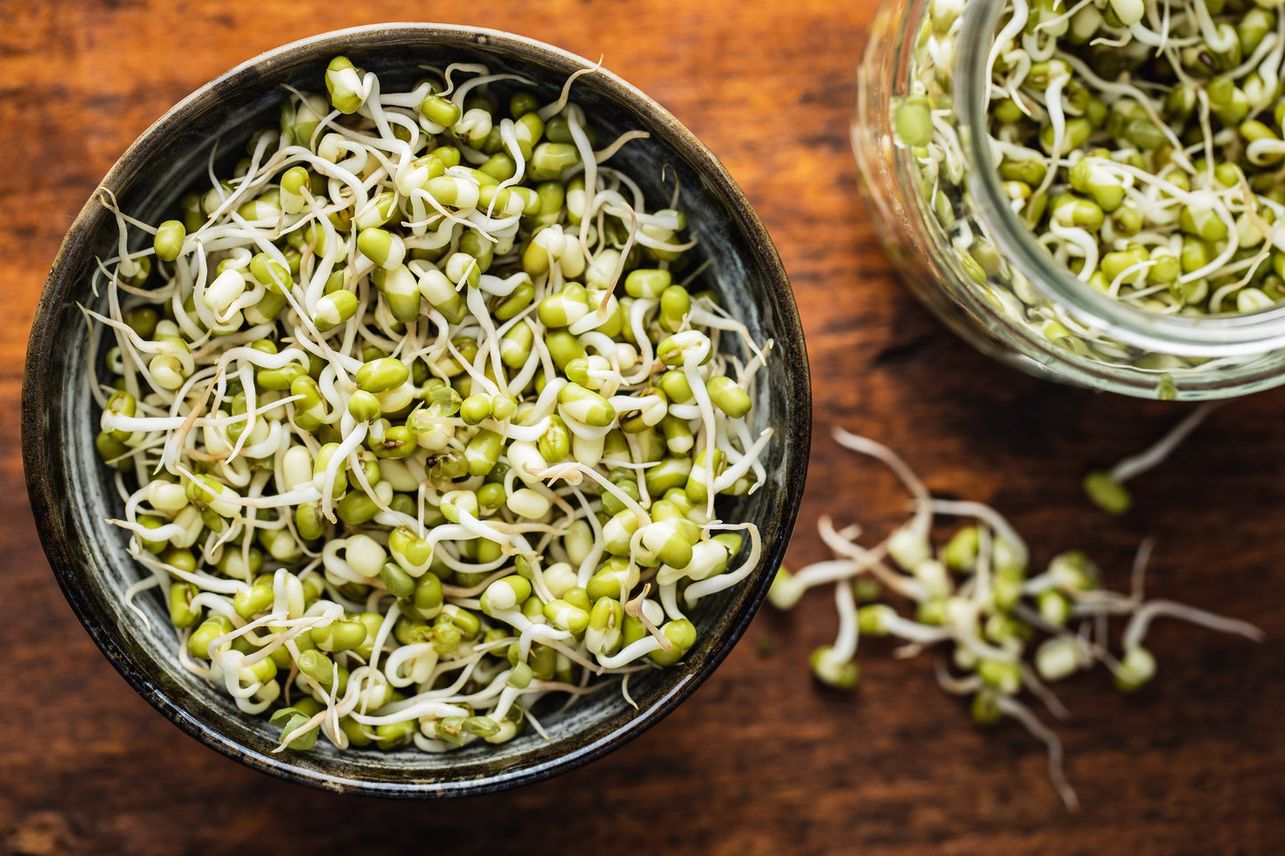150 MUNG BEAN Moong Sprouts Golden Gram Green Vigna Radiata Vegetable Seeds