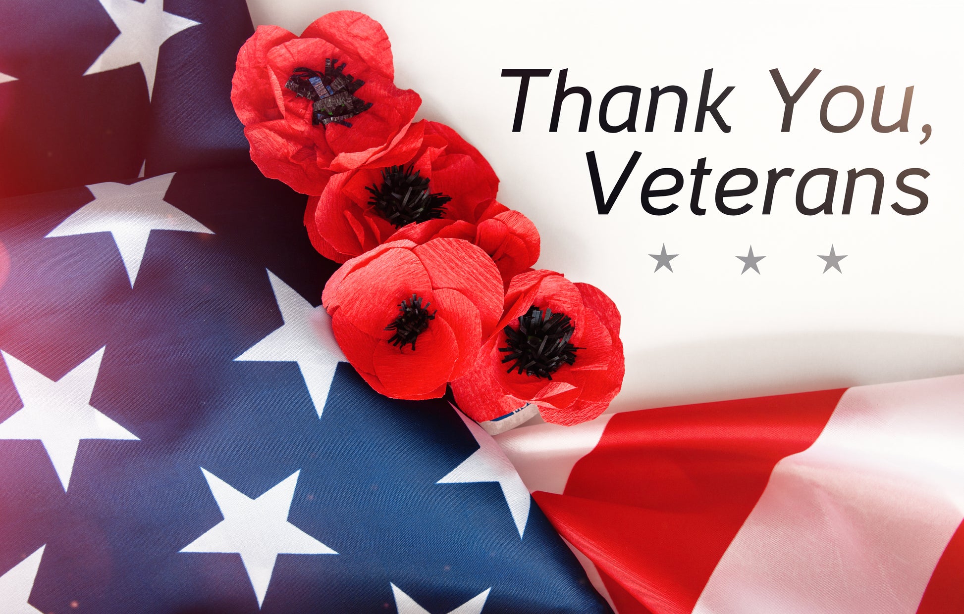 poppy seed flower veterans day 1000 Red AMERICAN LEGION (Corn / Shirley / Flanders) POPPY Papaver Rho – Seedville USA