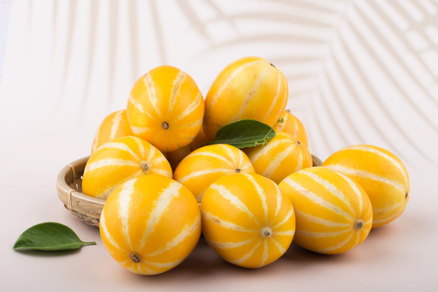 50 EARLY SILVER LINE MELON Cucumis Melo Yellow Striped Skin White Flesh Korean Fruit Seeds